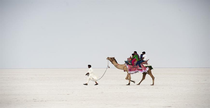  Rann Utsav - White Desert Festival 2N/3D  